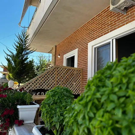 Basho * Саранда