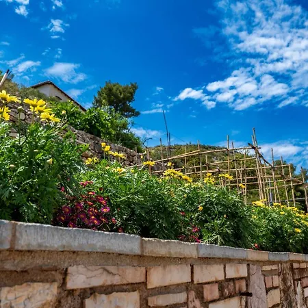 Apartment Basho Sarande